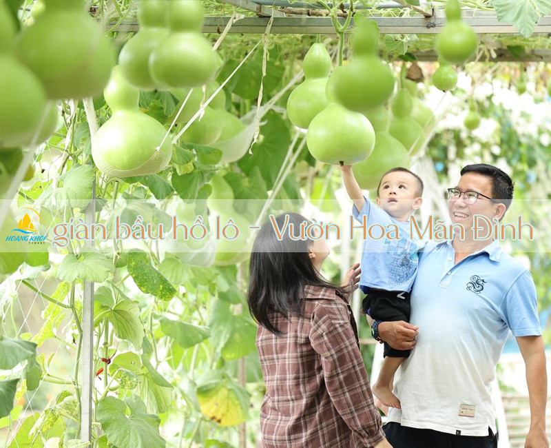 Giàn bí hồ lô khổng lồ trĩu quả độc đáo tại Vườn hoa Mỹ Tho Tiền Giang