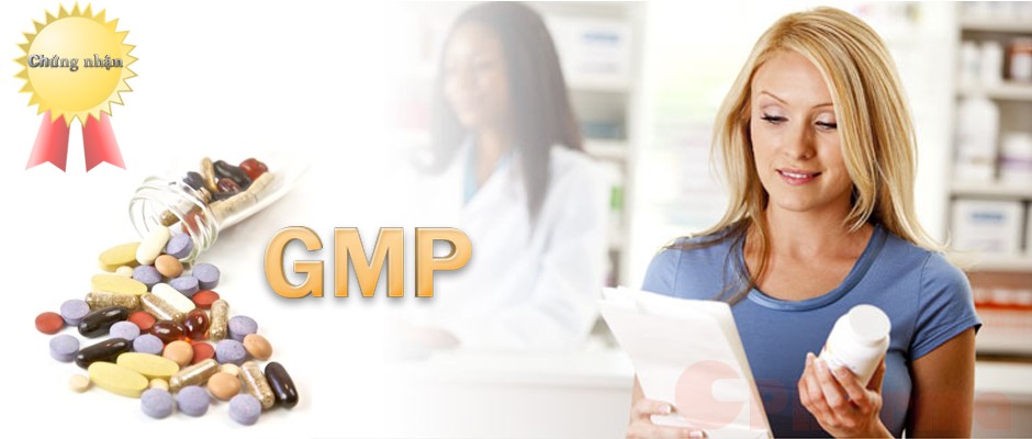 Giấy chứng nhận GMP của một doanh nghiệp dược phẩm, tượng trưng cho chất lượng