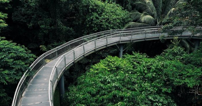 Khu Bảo Tồn Thiên Nhiên Đất Ngập Nước Sungei Buloh Singapore với hệ sinh thái đa dạng