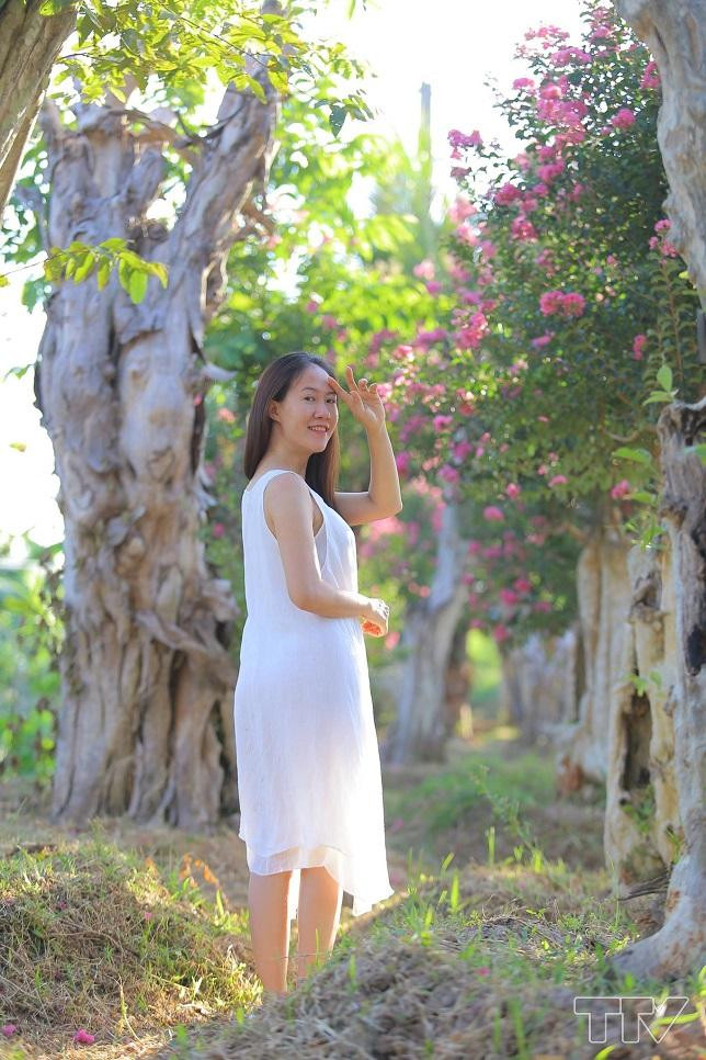 Hàng hoa tường vi cổ thụ đẹp tuyệt vời ở Thanh Hóa