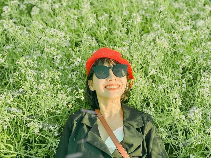Hình ảnh vườn cam, nhà lồng ớt chuông tại Kimi Farm, ngoài cánh đồng hoa cải