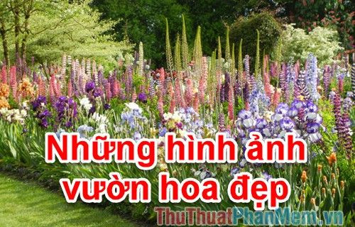 Hình ảnh vườn hoa tổng hợp đẹp mắt với đa dạng sắc màu, mang đến cảm hứng thiết kế cảnh quan.