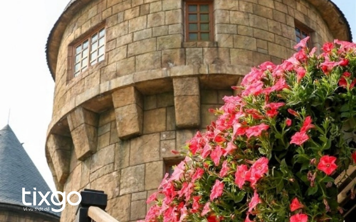Hoa Dạ Yên Thảo hồng rực tại Vườn hoa Bà Nà, một phần của 9 vườn hoa Le Jardin D’Amour