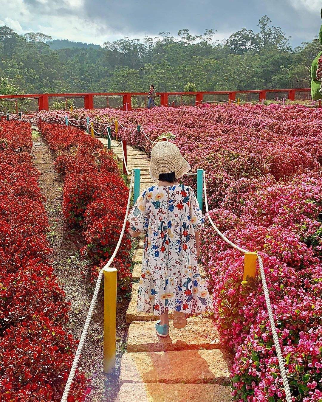 Hướng dẫn du khách di chuyển đến Vườn hoa Vạn Thành Đà Lạt