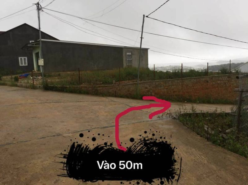 Hướng dẫn đường đi vườn hoa Cẩm Tú Cầu chi tiết