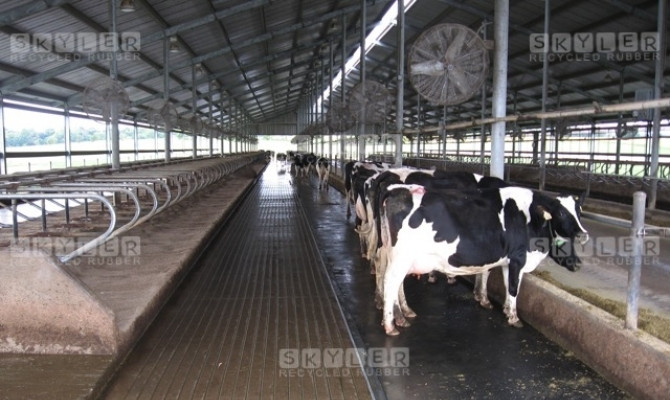 Thảm bò nằm Stall Mat
