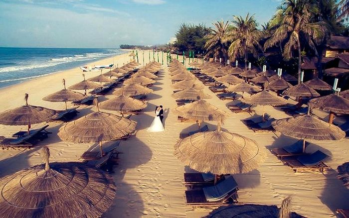 Bamboo Village Beach Resort Phan Thiết kiến trúc tre