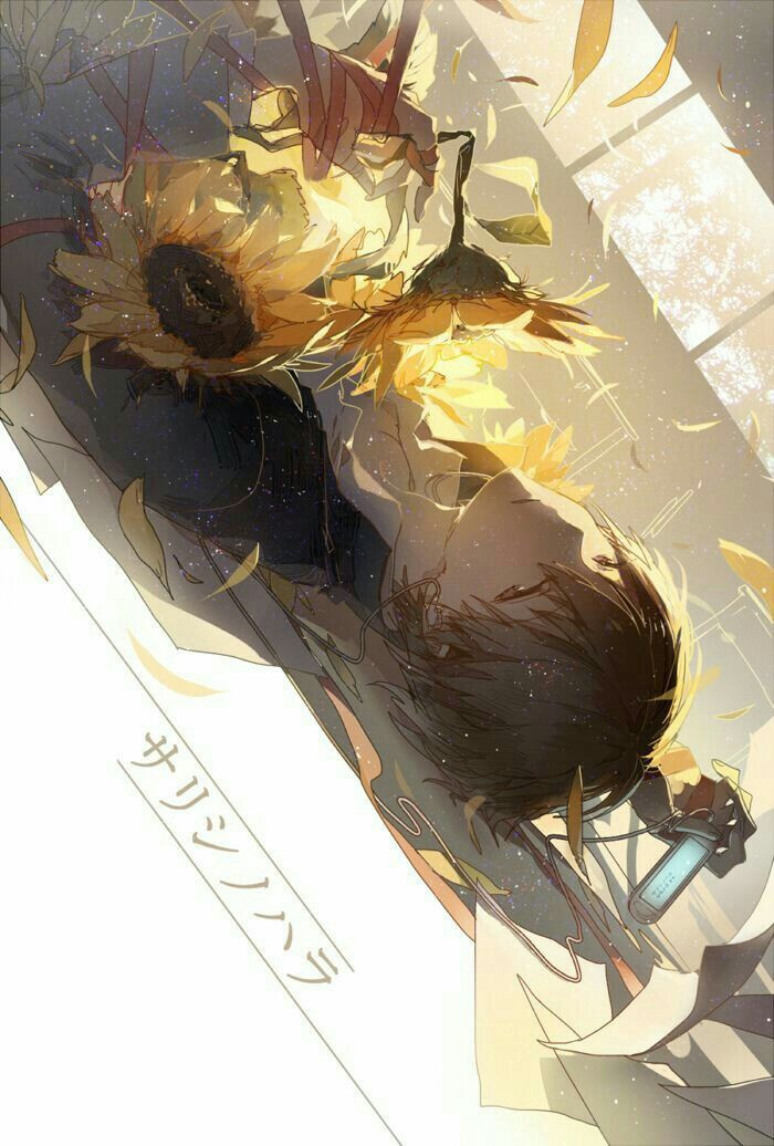 Kết quả hình ảnh cho Anime