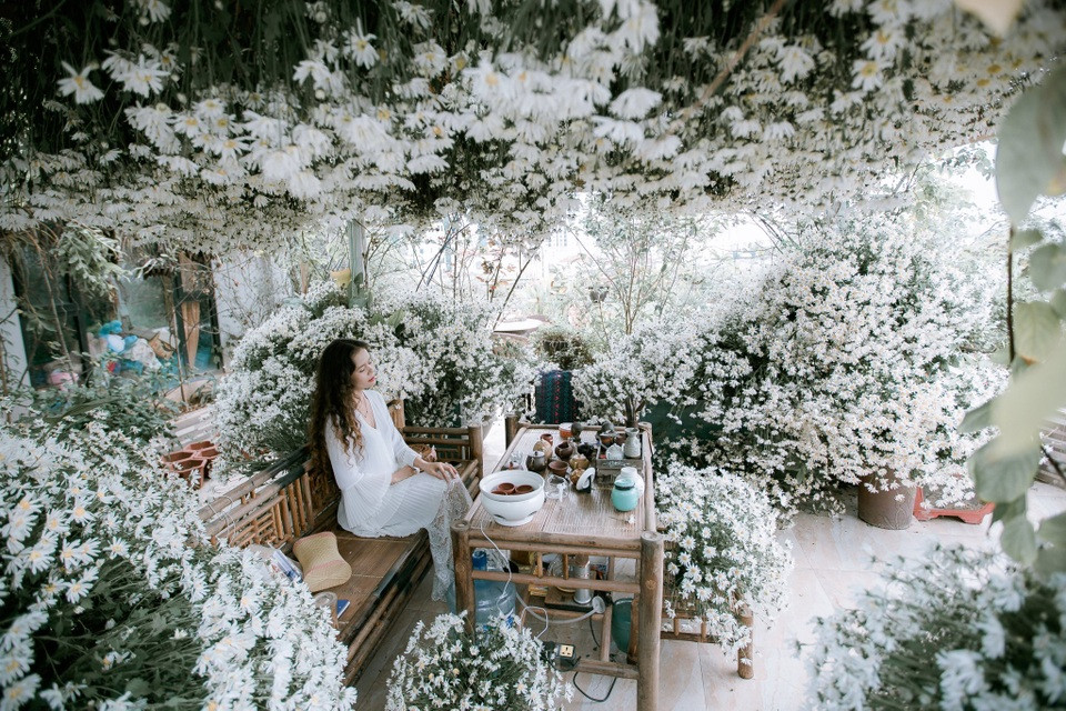 Không gian chòi nghỉ được trang trí rực rỡ với hoa cúc trong vườn hoa trên sân thượng đẹp