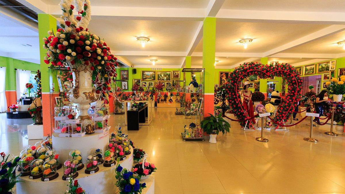 Không gian của Vườn hoa khô Đà Lạt