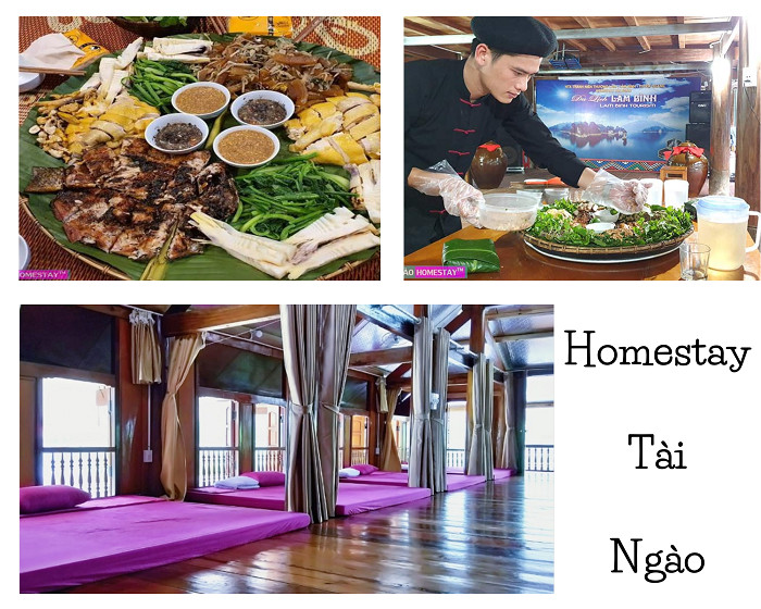 Không gian sân vườn và tiện ích của Homestay Tài Ngào, có bể bơi và view núi rừng