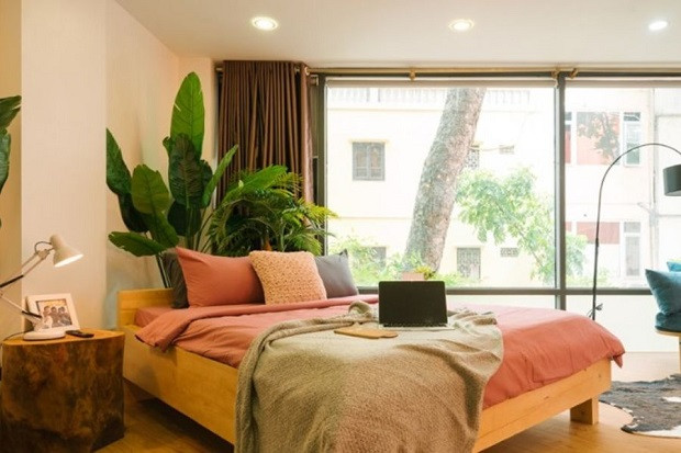 Không gian xanh tươi ngập tràn khắp phòng tại Veque Villa Hanoi, mang nét yên bình của làng quê vào khách sạn gần sân bay Nội Bài
