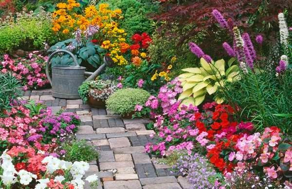 Khu vườn đẹp nơi thiên nhiên và con người hòa quyện, với ghế ngồi và các khóm hoa rực rỡ.