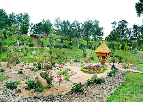 Khu vườn xương rồng độc đáo tại Vườn hoa thành phố Đà Lạt