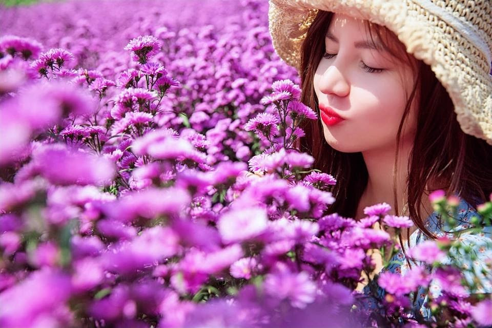Khung cảnh rộng lớn của vườn hoa thạch thảo Bà Rịa
