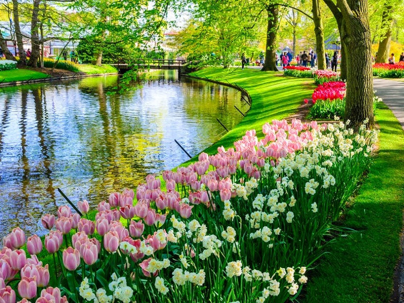 Khung cảnh thanh bình với con suối uốn lượn giữa những thảm hoa rực rỡ tại Keukenhof