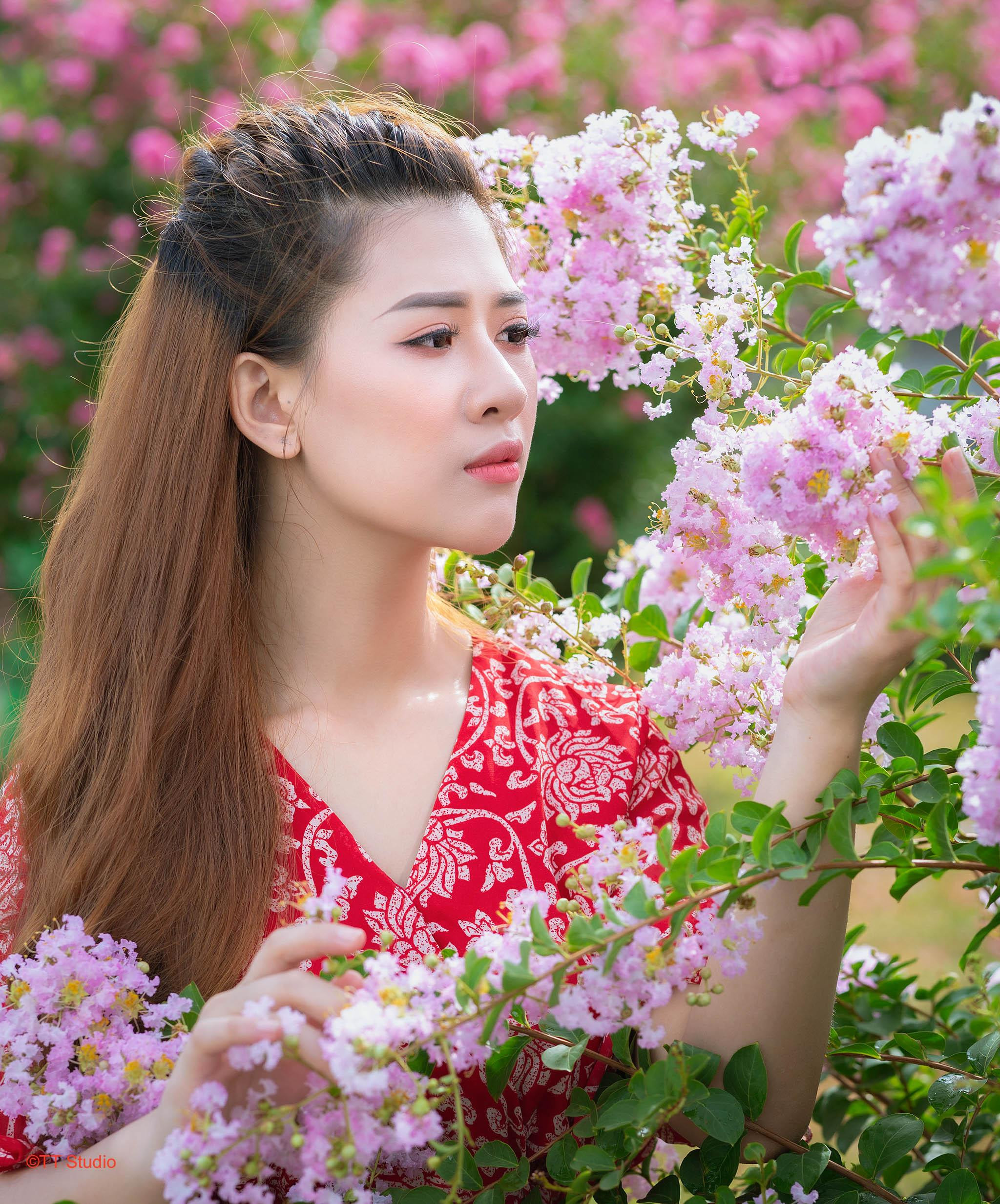 Khung cảnh thơ mộng tại vườn hoa tường vi Tam Hiệp Thanh Trì