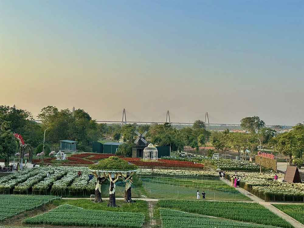 Khung cảnh vườn hoa bãi đá sông Hồng được chăm chút kỹ lưỡng theo từng mùa