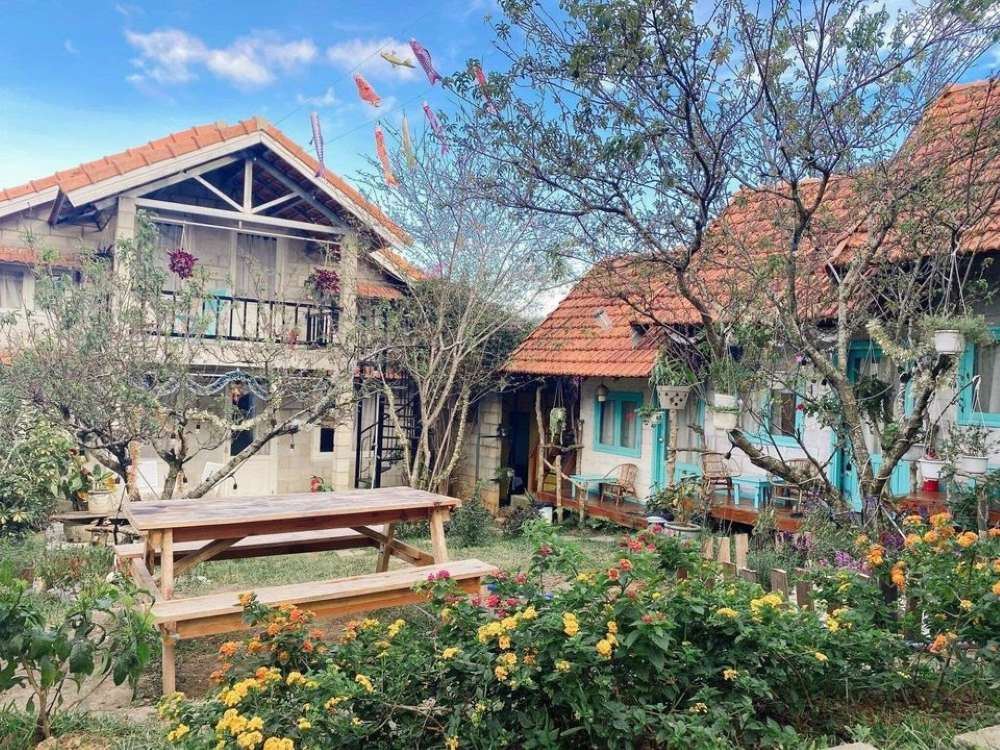 Khung cảnh yên bình của vườn hoa nhỏ trong nhà với đa dạng sắc màu cây cảnh.