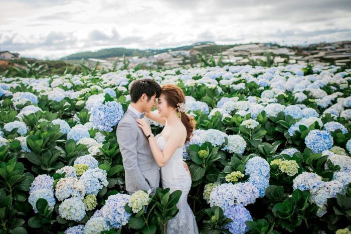 khám phá Đà Lạt tháng 11 với những kinh nghiệm du lịch bổ ích