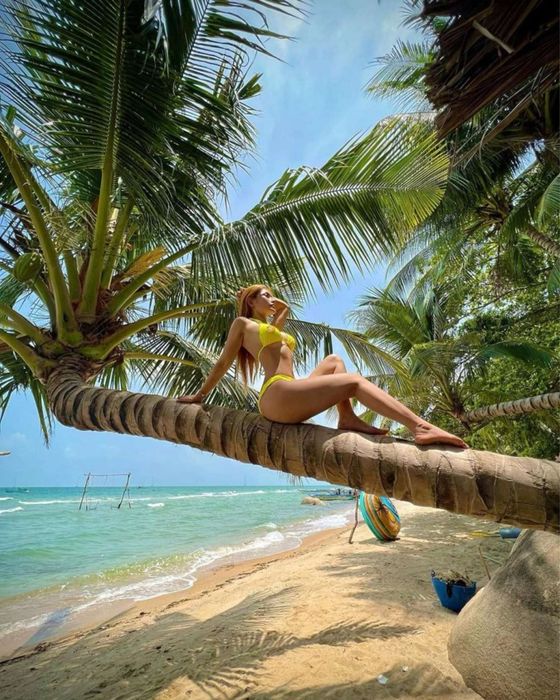 Bãi Bàng thơ mộng với dừa đổ bóng trong chuyến du lịch Hòn Sơn