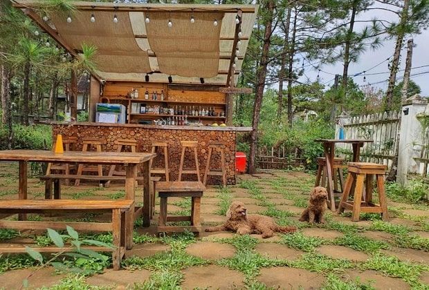Chino Homestay Măng Đen - Trải nghiệm homestay gần gũi thiên nhiên ở Kon Tum