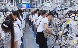 Công nhân lắp ráp dây dẫn điện ô tô