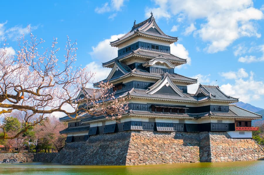 Lâu đài Matsumoto màu đen huyền bí nổi bật giữa biển hoa anh đào Nhật Bản trắng hồng, tạo nên khung cảnh tương phản độc đáo