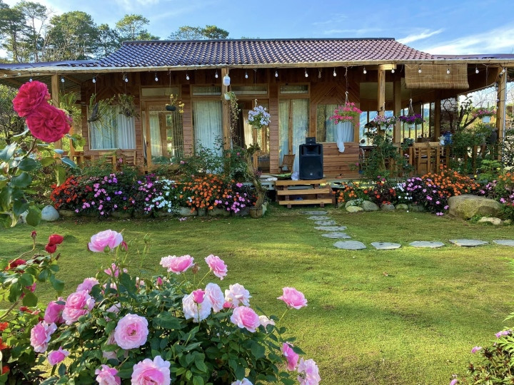 Lựa chọn cây hoa phù hợp cho không gian vườn nhỏ, đa dạng chậu cây