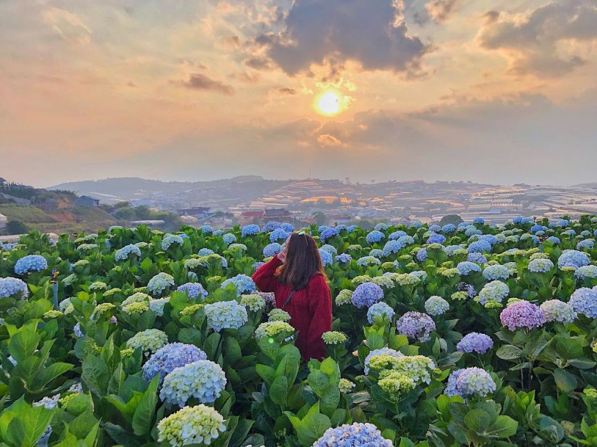 Lưu ý khi tham quan các vườn hoa Đà Lạt vào tháng 4