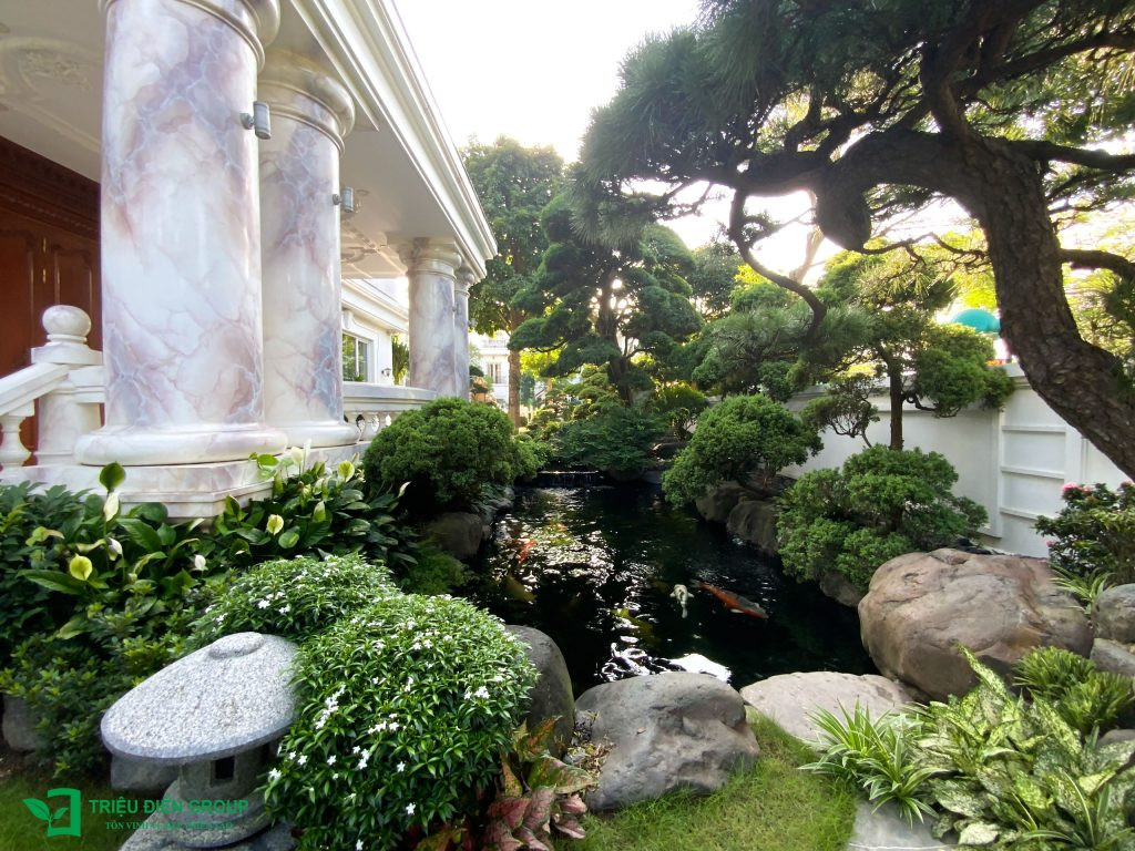 Mai Vạn Phúc với vẻ đẹp thuần khiết, làm nổi bật không gian sân vườn