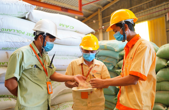 Sản phẩm thức ăn chăn nuôi chất lượng cao từ CÔNG TY TNHH JAPFA COMFEED VIỆT NAM, cung cấp dinh dưỡng tối ưu cho vật nuôi.