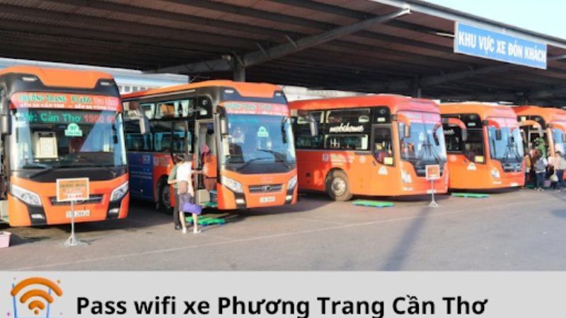 cÃ¡c tuyáº¿n Cáº§n ThÆ¡ má»›i nháº¥t 2025