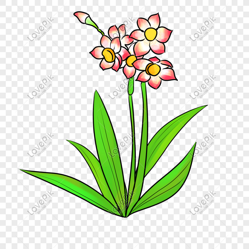 mẫu vẽ tay vườn hoa đẹp, gợi ý cho người mới bắt đầu học cách vẽ vườn hoa