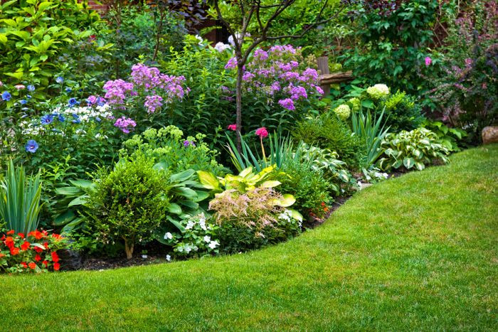Mẫu vườn hoa lãng mạn với những lối đi lát đá và bụi hoa nở rộ, gợi ý cho ý tưởng thiết kế vườn.