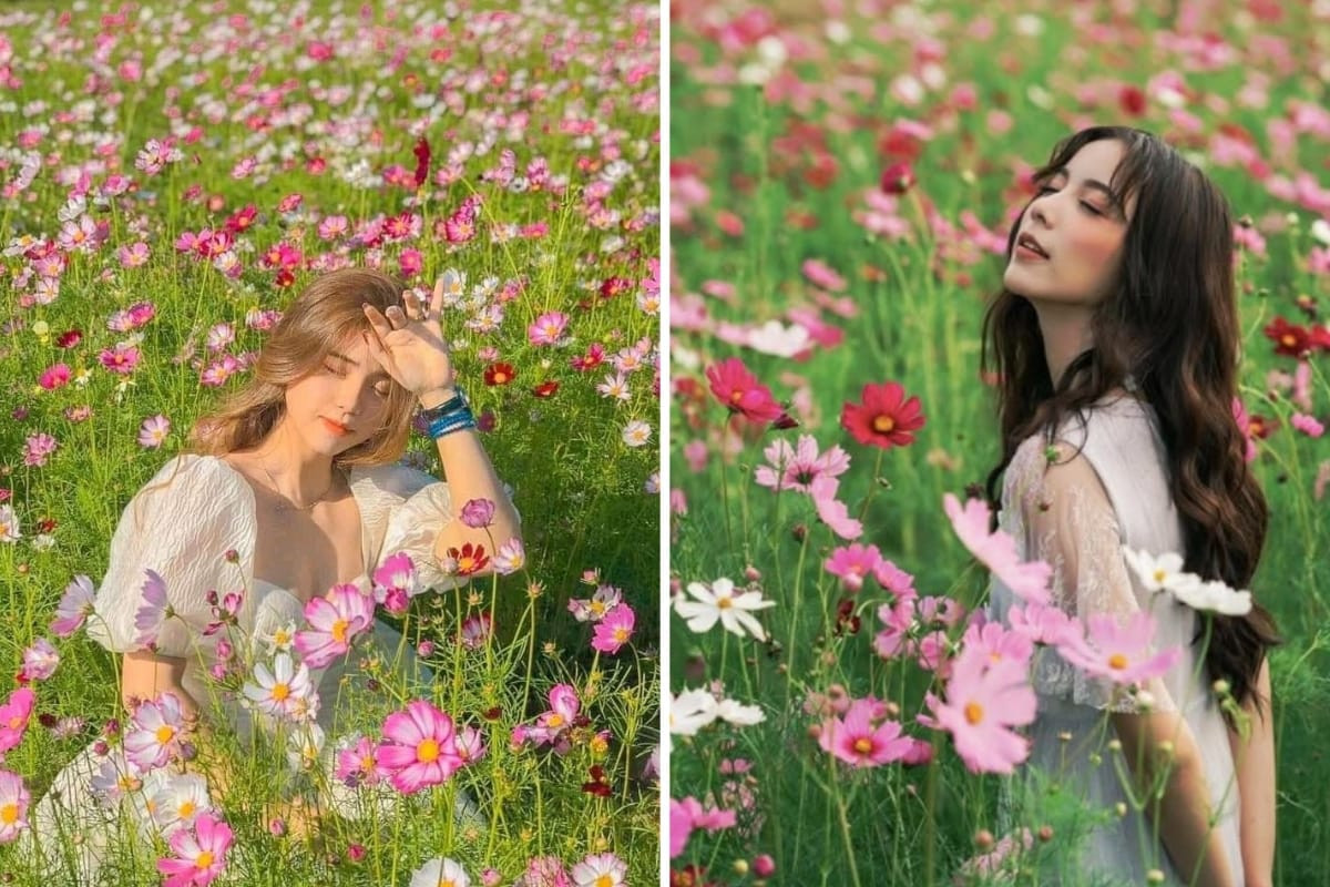 Một cô gái mặc váy trắng dài, đội mũ rộng vành, tạo dáng chụp ảnh đẹp ở vườn hoa hướng dương, xoay lưng về phía ống kính và vươn tay chạm vào những bông hoa, ánh nắng vàng rực rỡ chiếu sáng