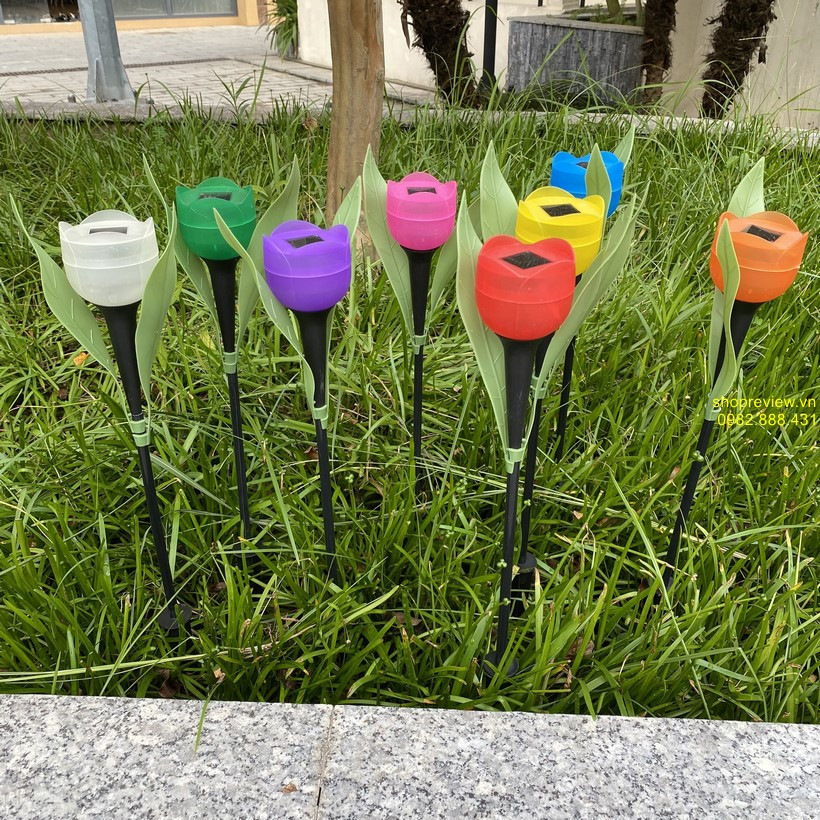 Một dãy đèn hoa tulip năng lượng mặt trời nhiều màu sắc rực rỡ