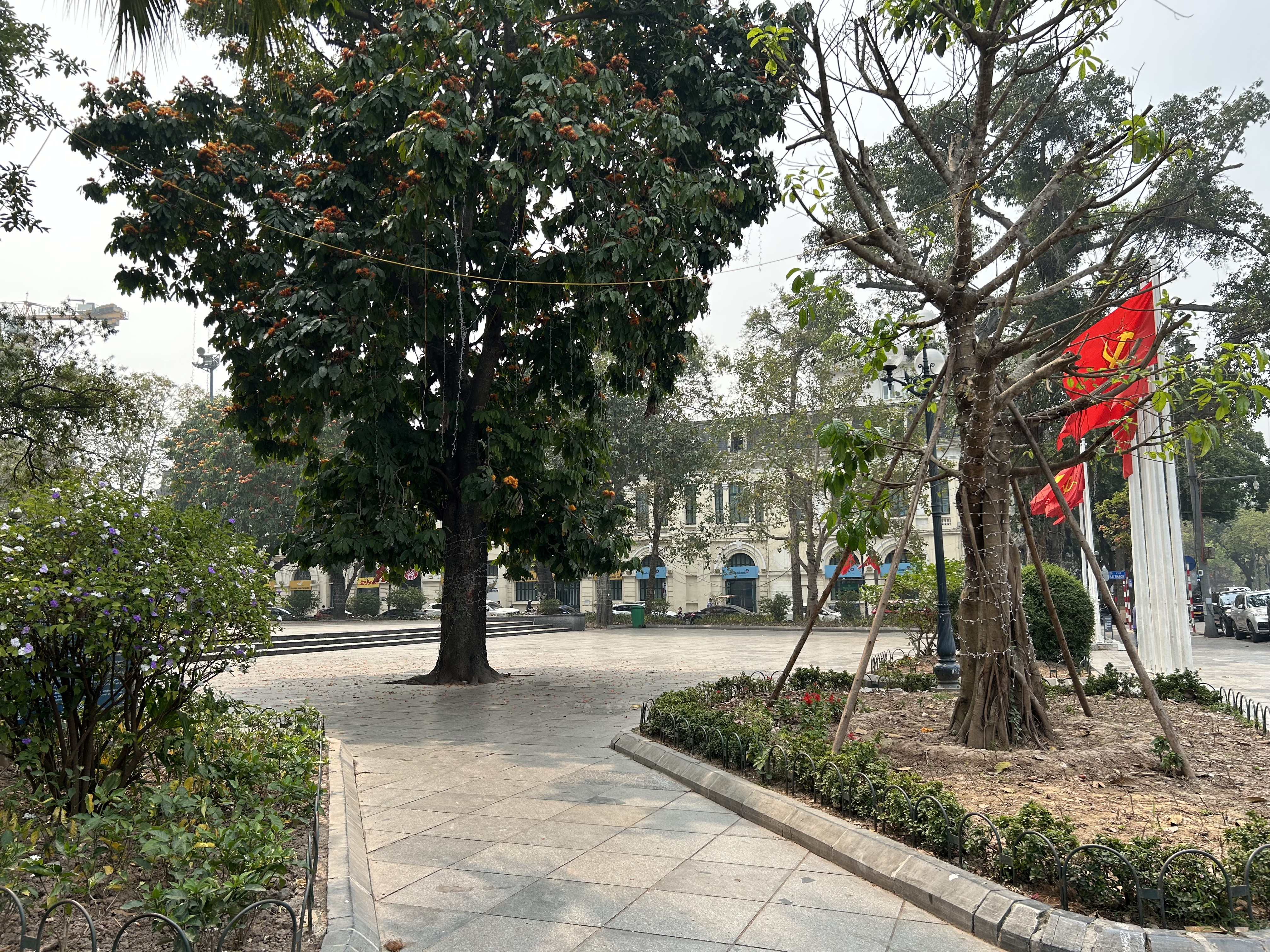 Một góc vườn hoa Lý Thái Tổ rực rỡ sắc màu, chuẩn bị cho dự án cải tạo toàn diện, hứa hẹn trở thành biểu tượng mới của Thủ đô.