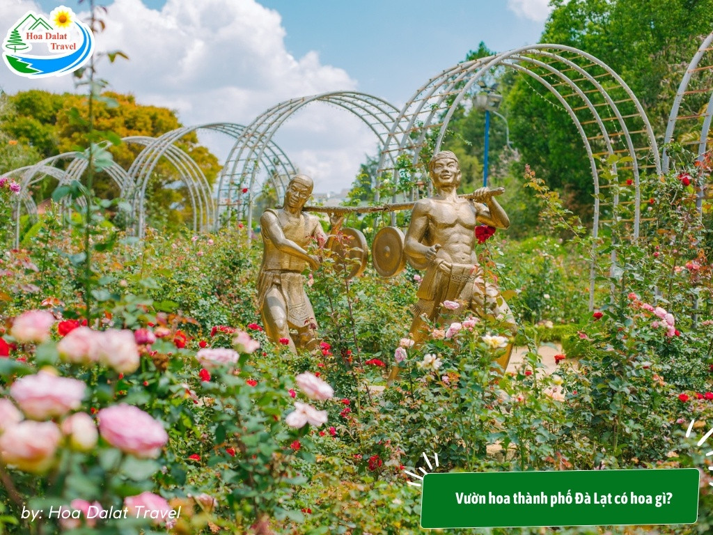 Một góc Vườn hoa thành phố Đà Lạt với sự đa dạng của các loài hoa và sắc màu tươi tắn