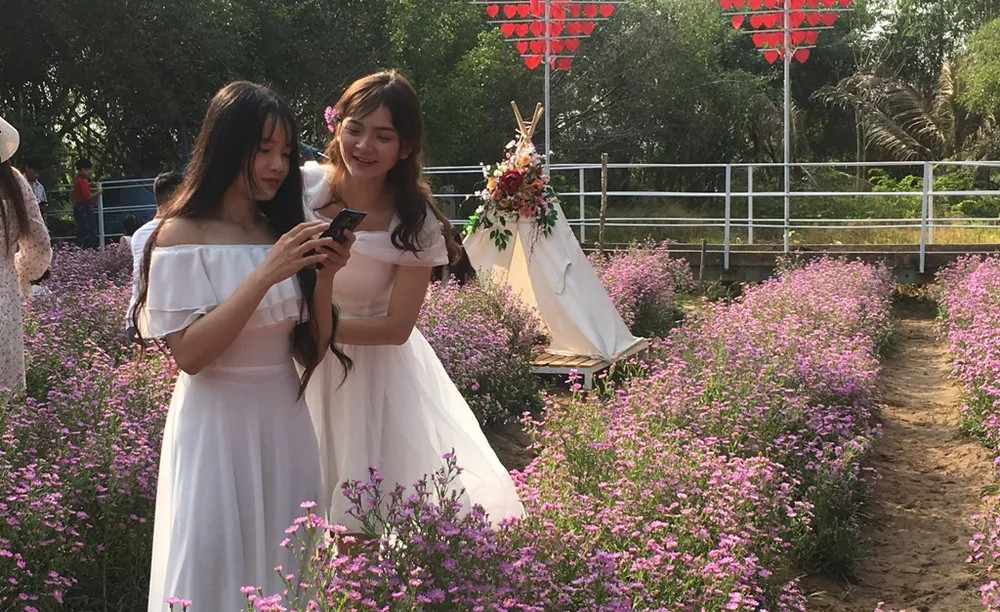 Một nhóm bạn đang cùng nhau xem lại những tấm hình vừa chụp được tại vườn hoa Thạch Thảo Cần Thơ
