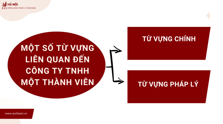 Một số từ vựng tiếng Anh liên quan đến công ty TNHH MTV, bao gồm các thuật ngữ pháp lý và quản trị