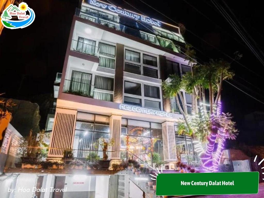New Century Dalat Hotel lung linh cùng ánh đèn với thiết kế hiện đại, nằm gần trung tâm thành phố