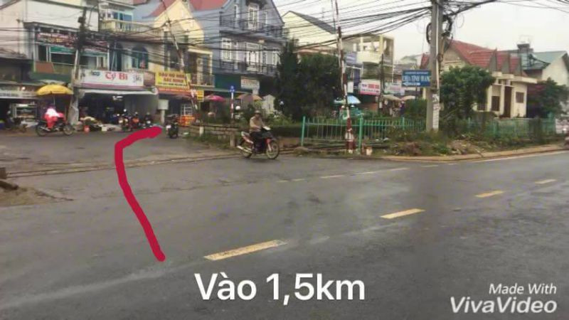 Ngã rẽ đến vườn cẩm tú cầu Đà Lạt
