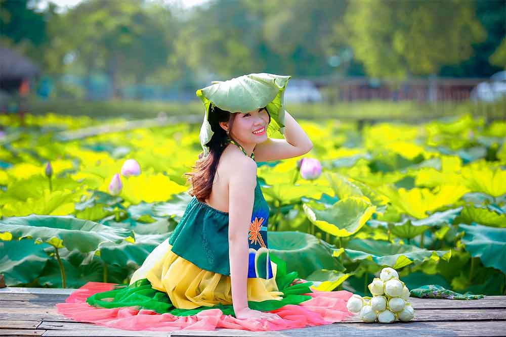 Những bông sen hồng rực rỡ khoe sắc tại Vườn hoa bãi đá sông Hồng