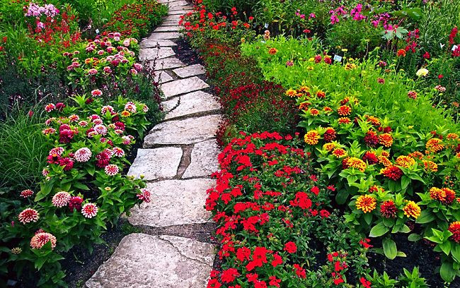 Những hình ảnh vườn hoa đẹp, rực rỡ sắc màu và đầy cảm hứng.