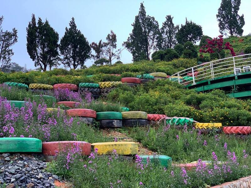 Những lốp xe được sử dụng sáng tạo làm điểm nhấn trang trí tại QUE Garden
