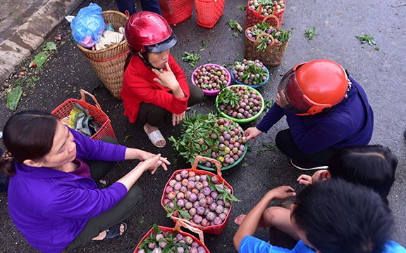Những sọt mận tam hoa Bắc Hà với số lượng lớn, sẵn sàng được bán cho khách