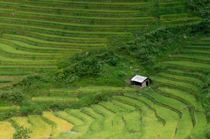 Bản Tả Van Sapa, địa điểm du lịch Sapa hướng thung lũng Mường Hoa