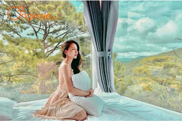 Oppa Homestay Đà Lạt, nơi thức giấc cùng view rừng thông bao phủ