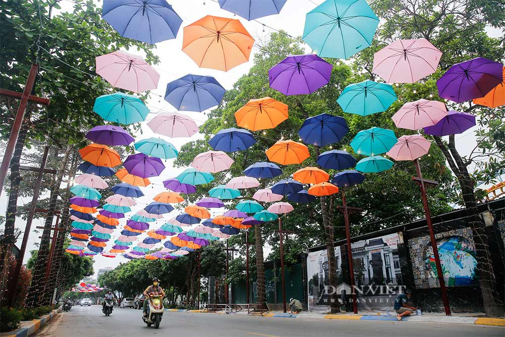 Phố đi bộ Trịnh Công Sơn (Ảnh: Dân Việt)